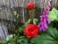 User post image