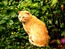 User post image