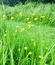 User post image
