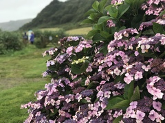User post image