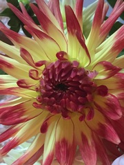 User post image