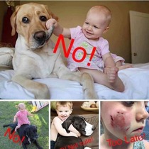 User post image