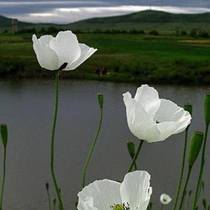 User post image