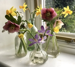 User post image