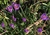User post image