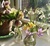 User post image