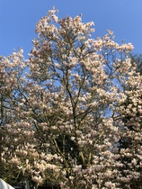 User post image