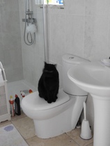 User post image