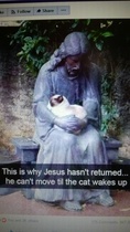 User post image