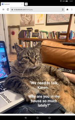 User post image