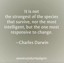 User post image