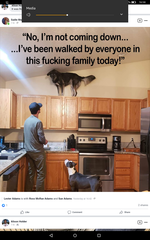 User post image