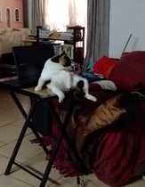 User post image
