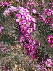 User post image