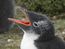User post image