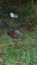 User post image
