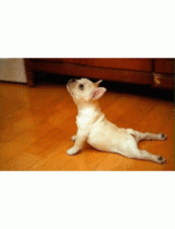 User post image