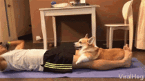 User post image