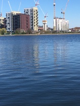 User post image