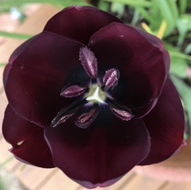 User post image