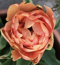 User post image