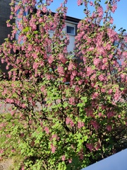 User post image