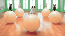 User post image