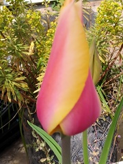 User post image