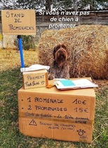 User post image