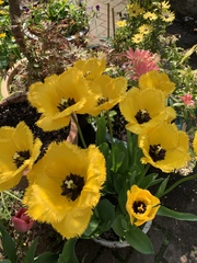 User post image