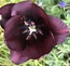 User post image