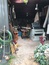 User post image