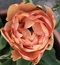 User post image
