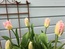 User post image