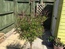 User post image