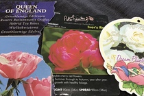 User post image