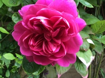 User post image