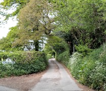 User post image