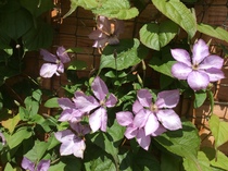 User post image