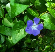 User post image