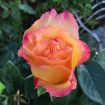 User post image
