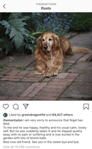 User post image