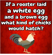 User post image