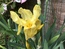 User post image