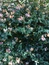 User post image