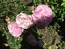 User post image