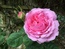 User post image