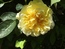 User post image