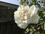 User post image