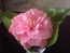 User post image